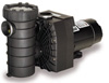 13-433-IV - Speck 2 HP pump