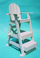 38-058 - Champion Guard Chair, front step, 61"