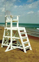 38-063 - Champion Guard Chair, front ladder, 85"