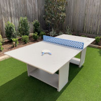 64-100 - Ledge Lounger Ping Pong Table