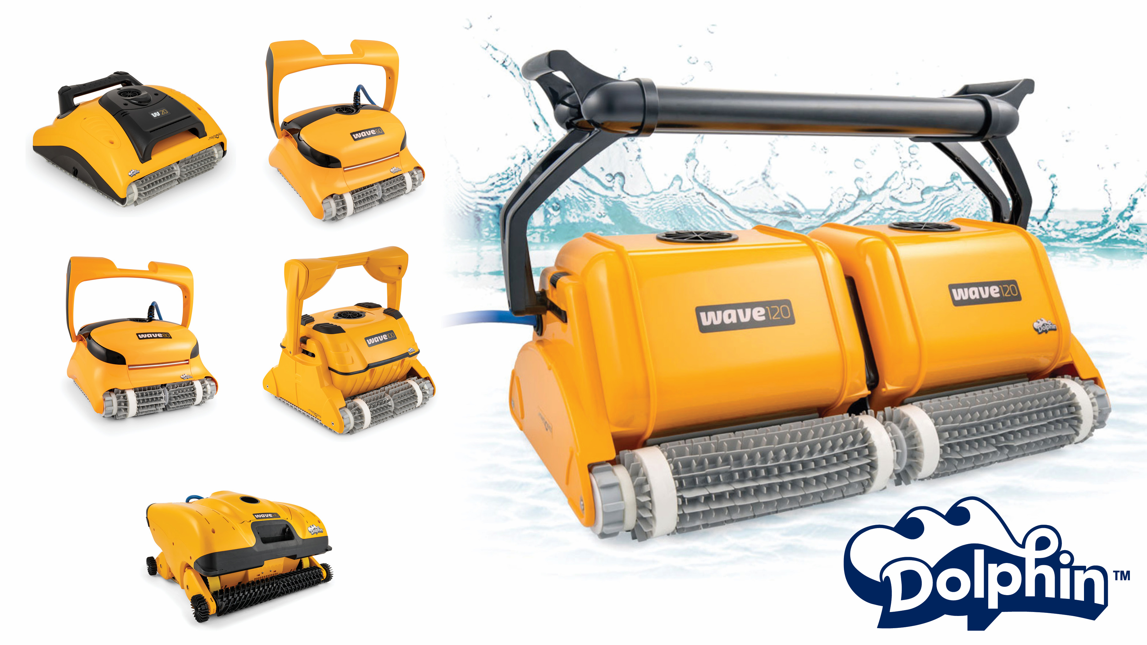 Home Lincoln Aquatics