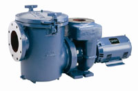 13-011 - Sta-Rite "CCSP" pump, 10 HP, epoxy coated