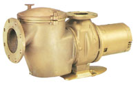 13-029 - Pentair CH 50 pump, 5 HP, single phase