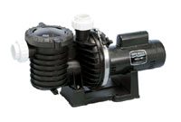 13-074 - Sta-Rite Max-E-Pro, 1 HP, 115/230V