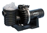 13-077 - Sta-Rite Max-E-Pro, 2 HP, 230V