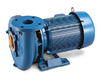 13-175 - Aurora 341A horizontal close coupled pump