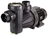 13-655 - Speck Model 95 Pump,