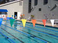 53-010 - Backstroke pennants, special order/ft.