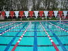 53-020 - Champion backstroke pennants
