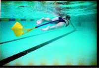 54-140 - StrechCordz Drag Chute, 8"