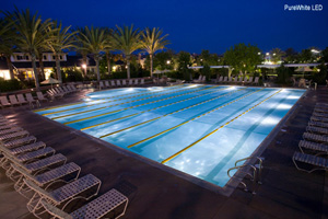 Pure White Bulbs in Pool