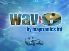 Dolphin Wave Video